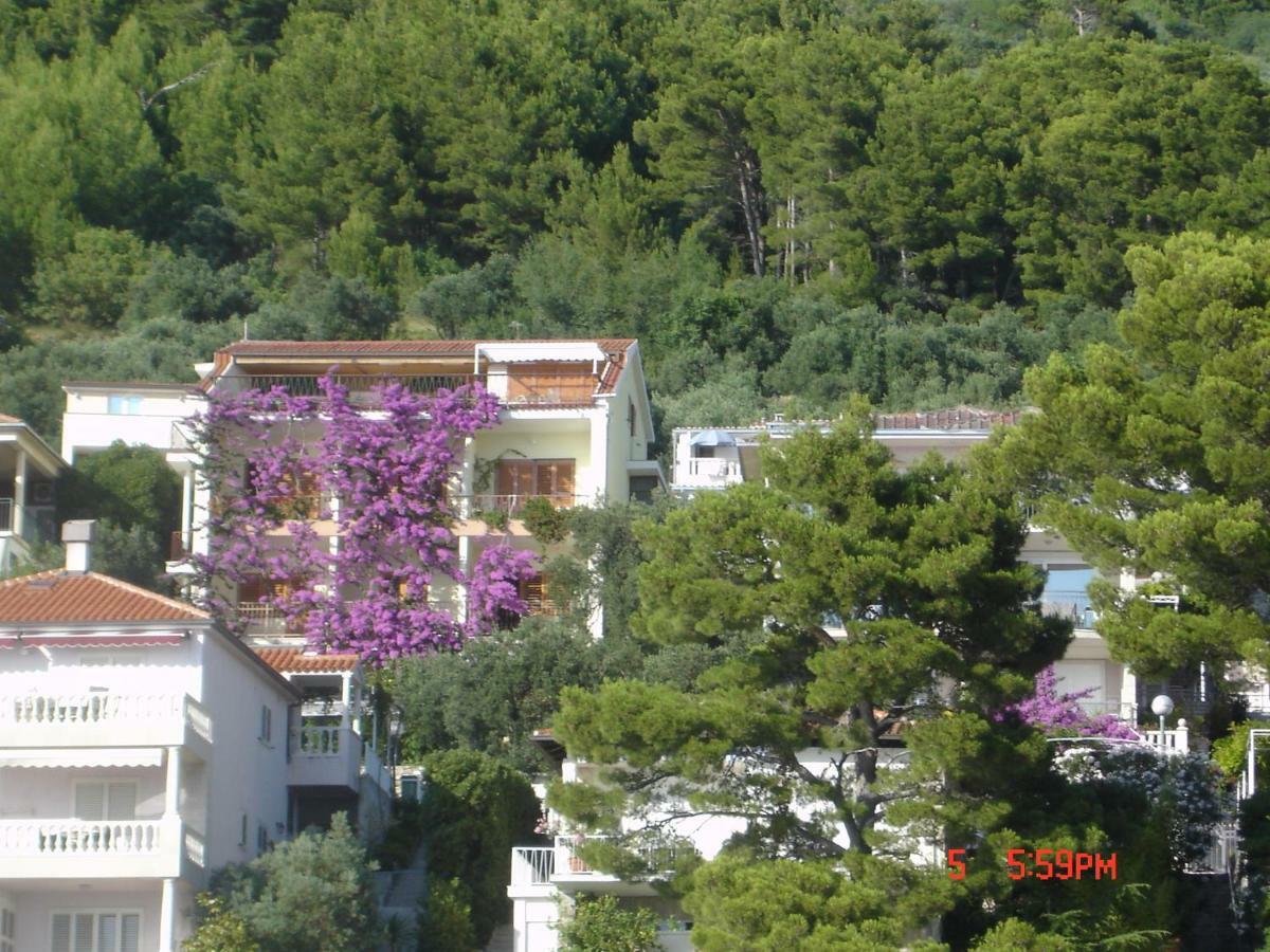 Villa Libertas เบรลา ภายนอก รูปภาพ