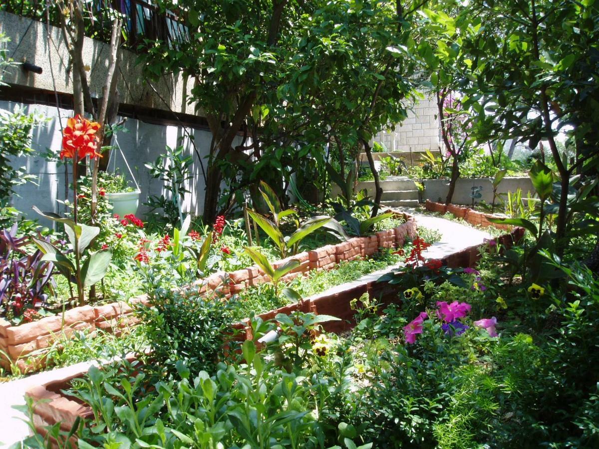 Villa Libertas เบรลา ภายนอก รูปภาพ