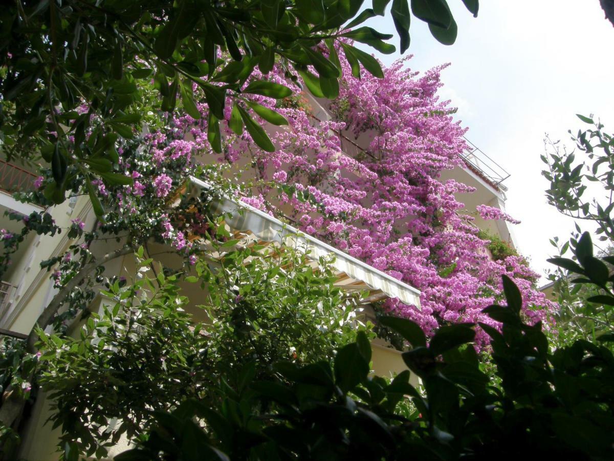 Villa Libertas เบรลา ภายนอก รูปภาพ