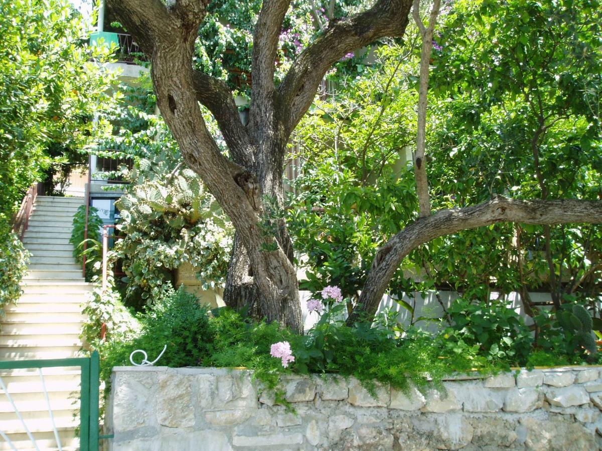 Villa Libertas เบรลา ภายนอก รูปภาพ